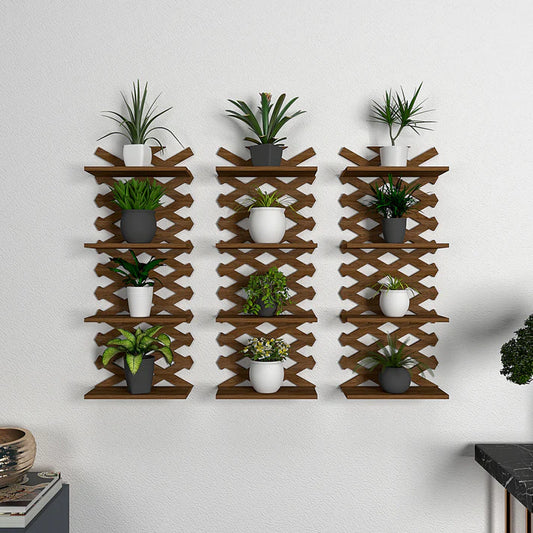 Wooden Display & Planter Shelves for Living Room Walls – iCare Gifts India
